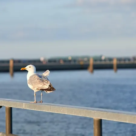 Bootsteg Moba-travel Apartmán *