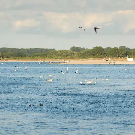 Bootsteg Moba-travel * Priwall